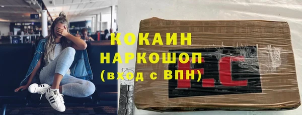 ПСИЛОЦИБИНОВЫЕ ГРИБЫ Магас