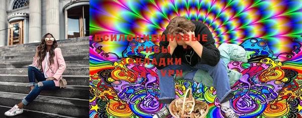 ПСИЛОЦИБИНОВЫЕ ГРИБЫ Магас